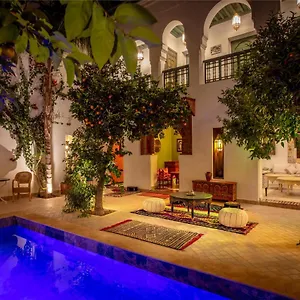 Riad Les Cigognes, Marrakesh